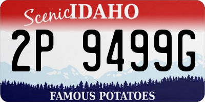 ID license plate 2P9499G