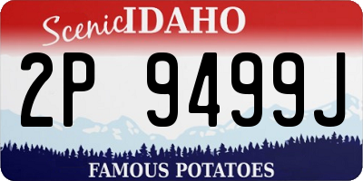 ID license plate 2P9499J