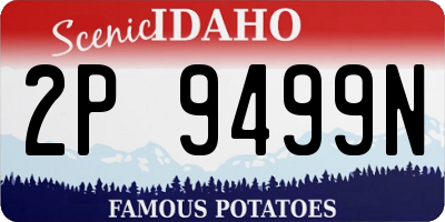 ID license plate 2P9499N