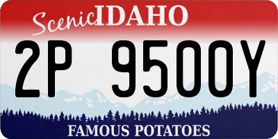 ID license plate 2P9500Y