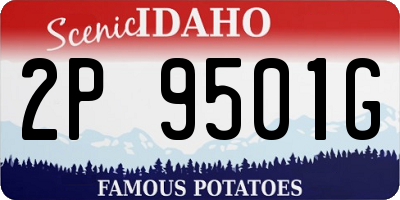 ID license plate 2P9501G