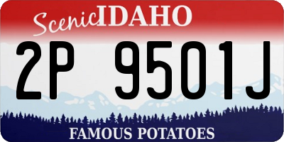 ID license plate 2P9501J