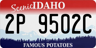 ID license plate 2P9502C