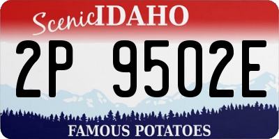 ID license plate 2P9502E