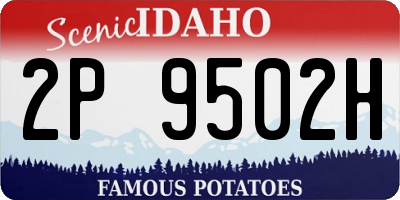 ID license plate 2P9502H