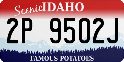 ID license plate 2P9502J