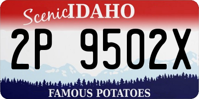 ID license plate 2P9502X