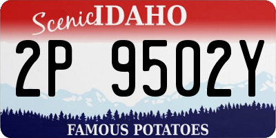 ID license plate 2P9502Y