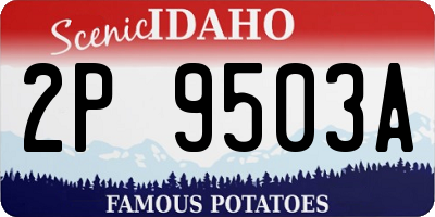 ID license plate 2P9503A