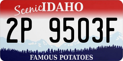 ID license plate 2P9503F