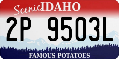 ID license plate 2P9503L