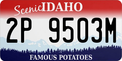 ID license plate 2P9503M