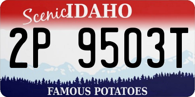 ID license plate 2P9503T