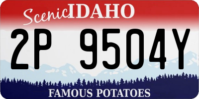 ID license plate 2P9504Y