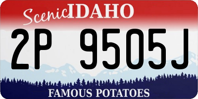 ID license plate 2P9505J