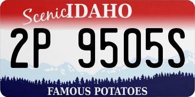 ID license plate 2P9505S