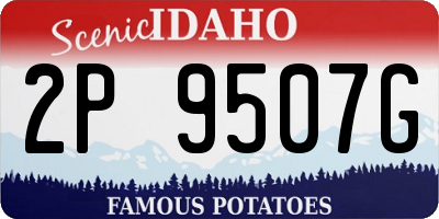 ID license plate 2P9507G