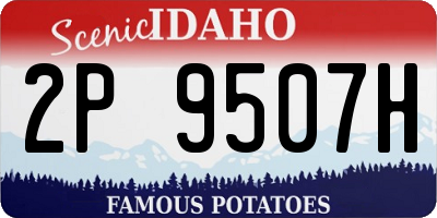 ID license plate 2P9507H