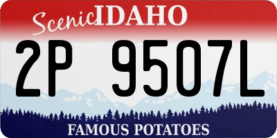 ID license plate 2P9507L