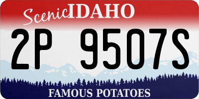 ID license plate 2P9507S