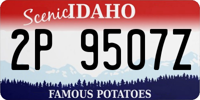 ID license plate 2P9507Z