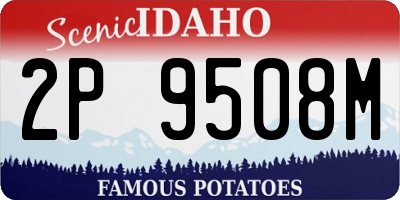 ID license plate 2P9508M