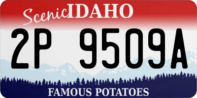 ID license plate 2P9509A