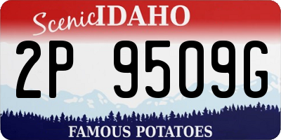 ID license plate 2P9509G