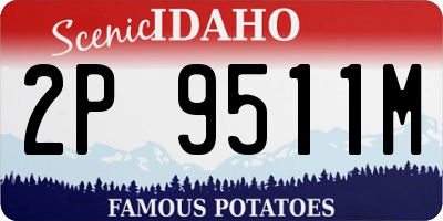 ID license plate 2P9511M