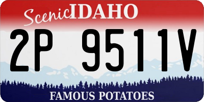 ID license plate 2P9511V