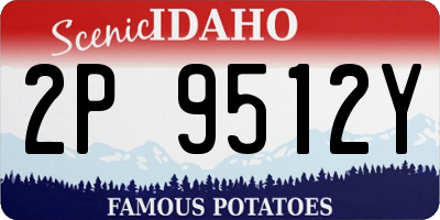 ID license plate 2P9512Y