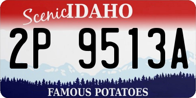 ID license plate 2P9513A