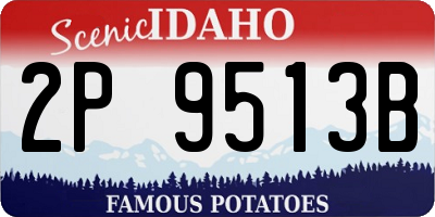 ID license plate 2P9513B