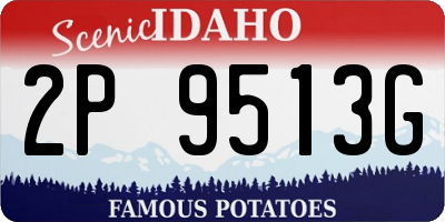 ID license plate 2P9513G