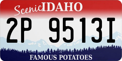 ID license plate 2P9513I