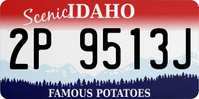 ID license plate 2P9513J