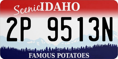 ID license plate 2P9513N