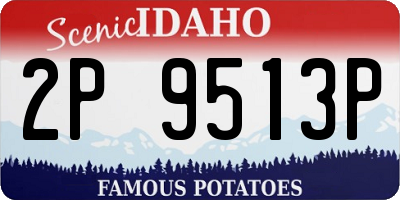 ID license plate 2P9513P