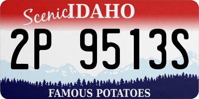 ID license plate 2P9513S