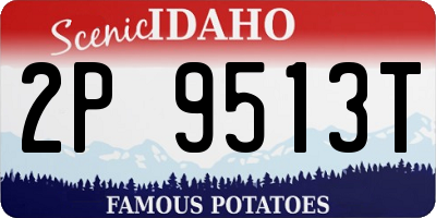 ID license plate 2P9513T