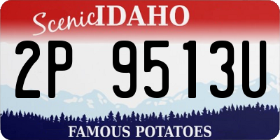 ID license plate 2P9513U