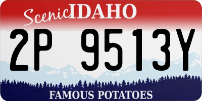 ID license plate 2P9513Y