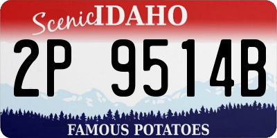 ID license plate 2P9514B