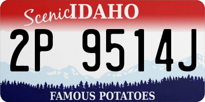 ID license plate 2P9514J