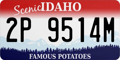 ID license plate 2P9514M