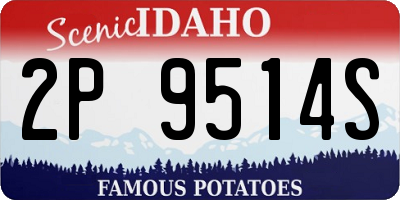 ID license plate 2P9514S