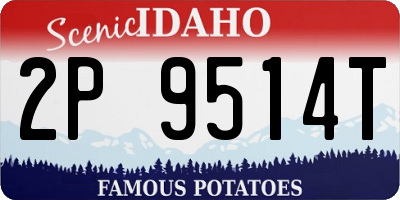 ID license plate 2P9514T