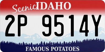 ID license plate 2P9514Y