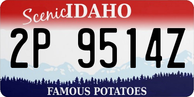 ID license plate 2P9514Z