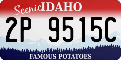 ID license plate 2P9515C